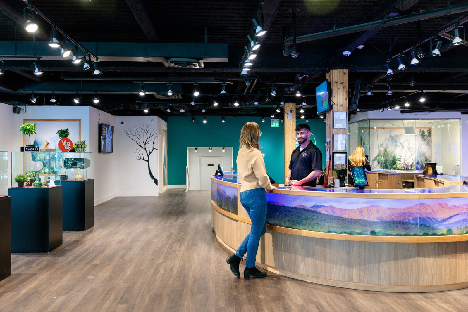 cannabis dispensary seo services